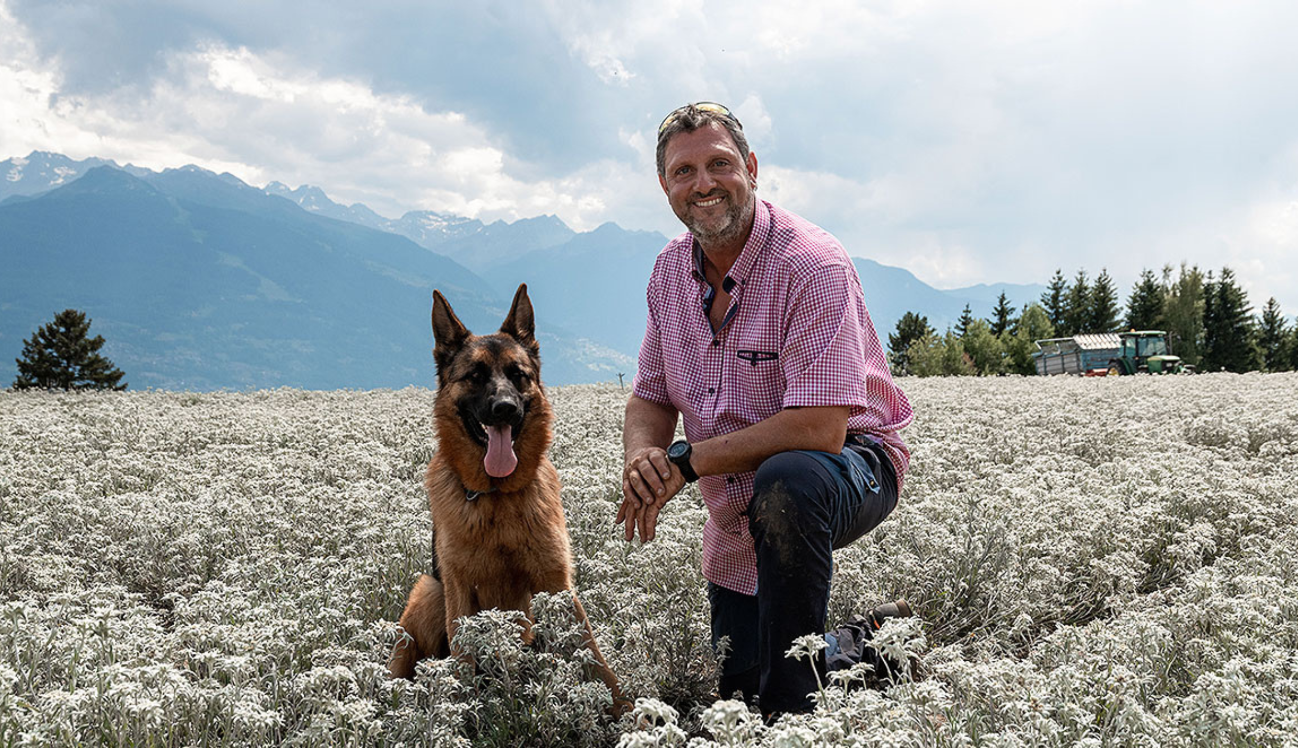 Edelweiss-2877